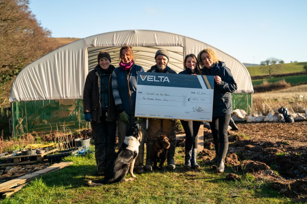 Velta Construction and Stump Up For Trees Forge a Green Legacy in the Brecon Beacons